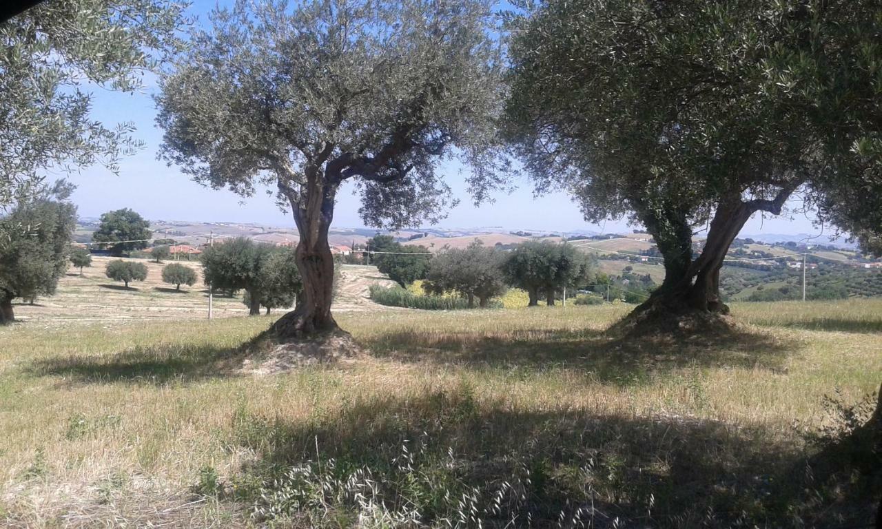 Amor Di Lavanda Чинголі Екстер'єр фото