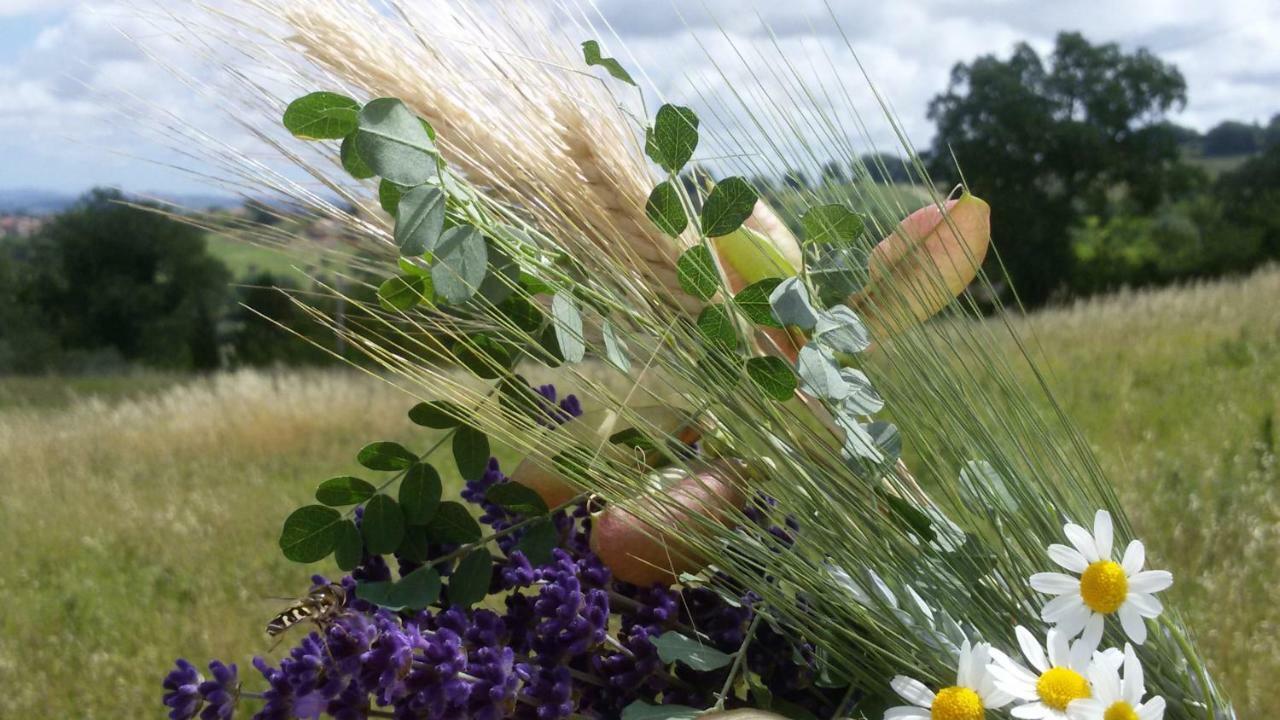 Amor Di Lavanda Чинголі Екстер'єр фото