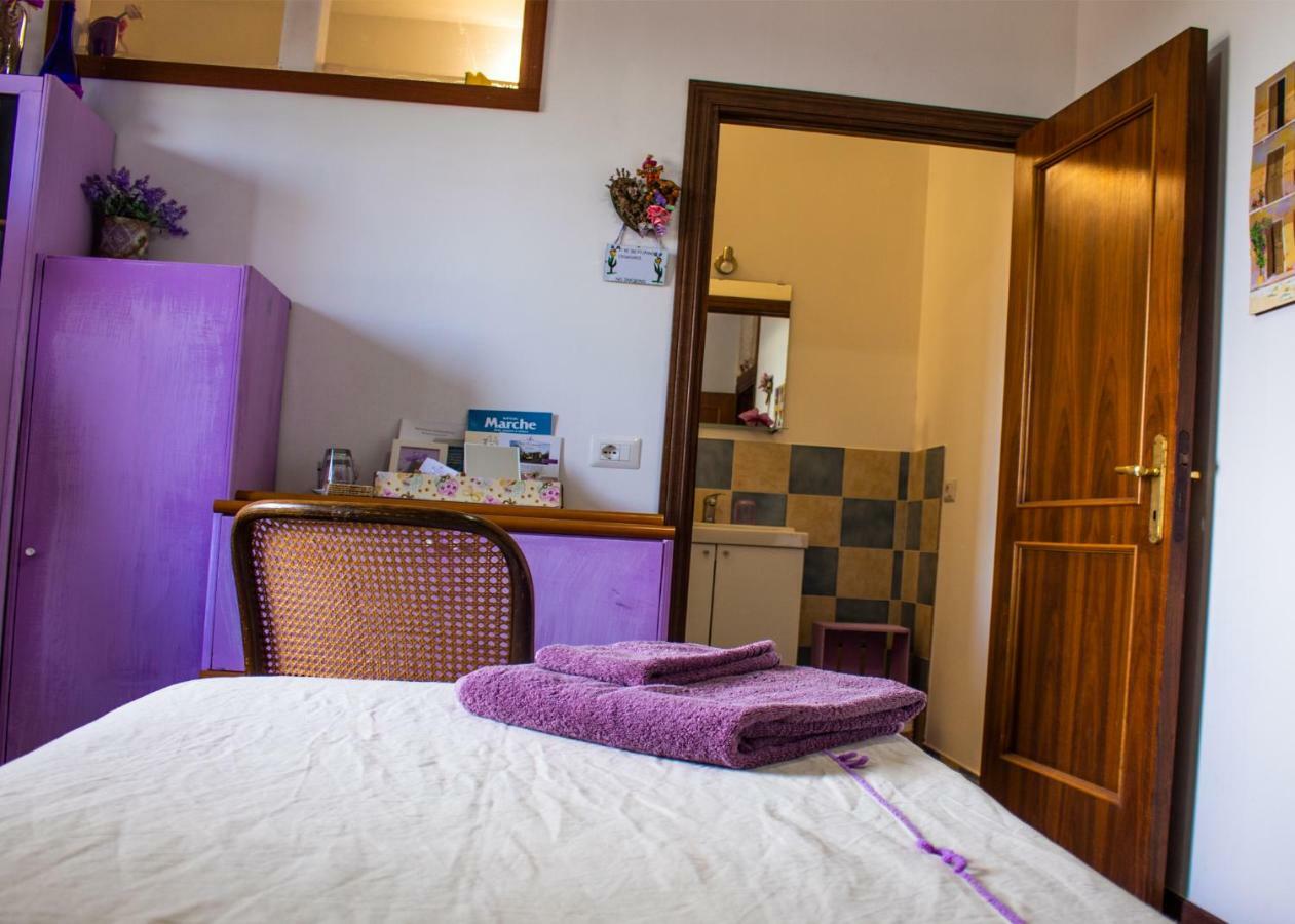 Amor Di Lavanda Чинголі Екстер'єр фото