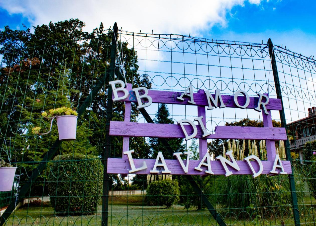 Amor Di Lavanda Чинголі Екстер'єр фото
